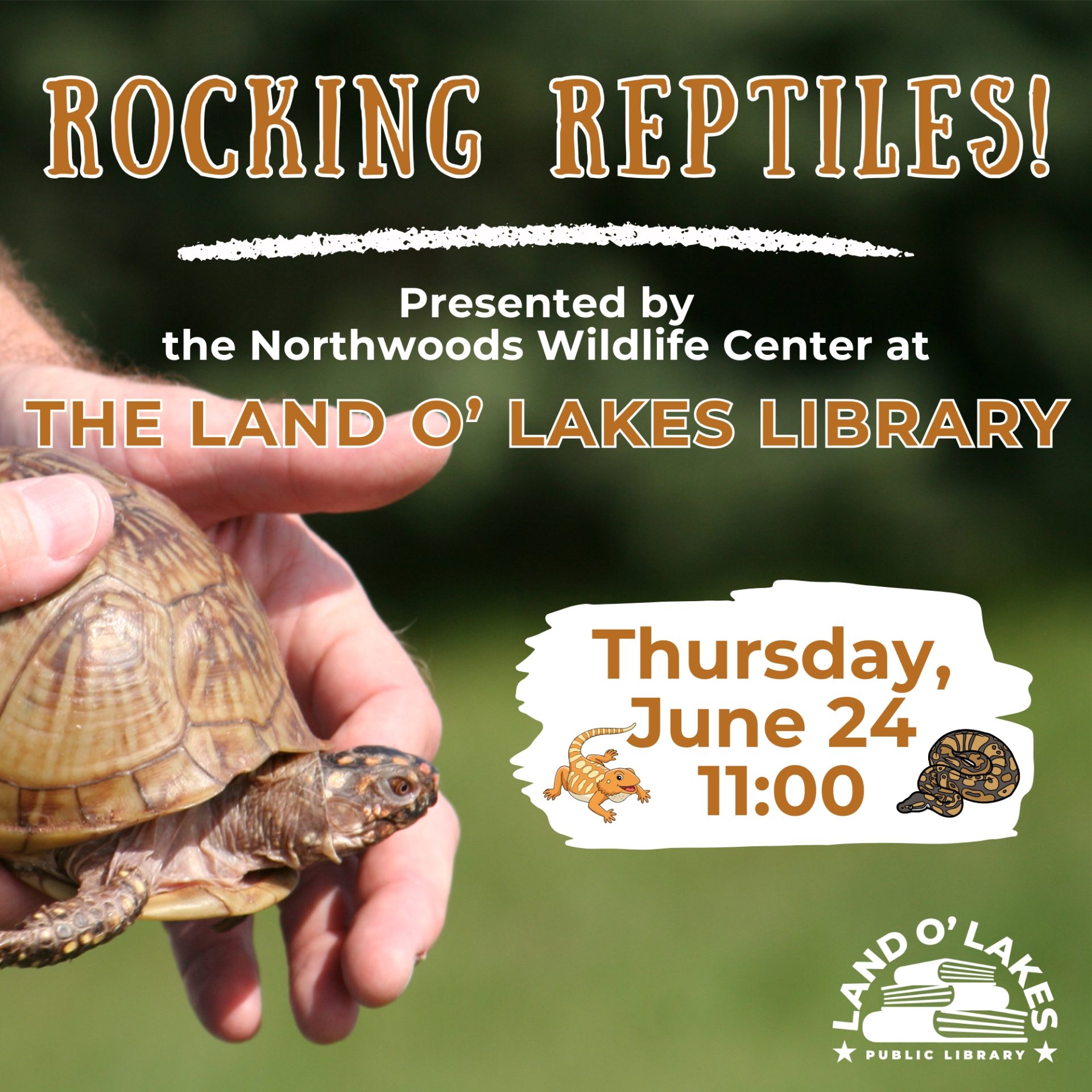 Rocking Reptiles