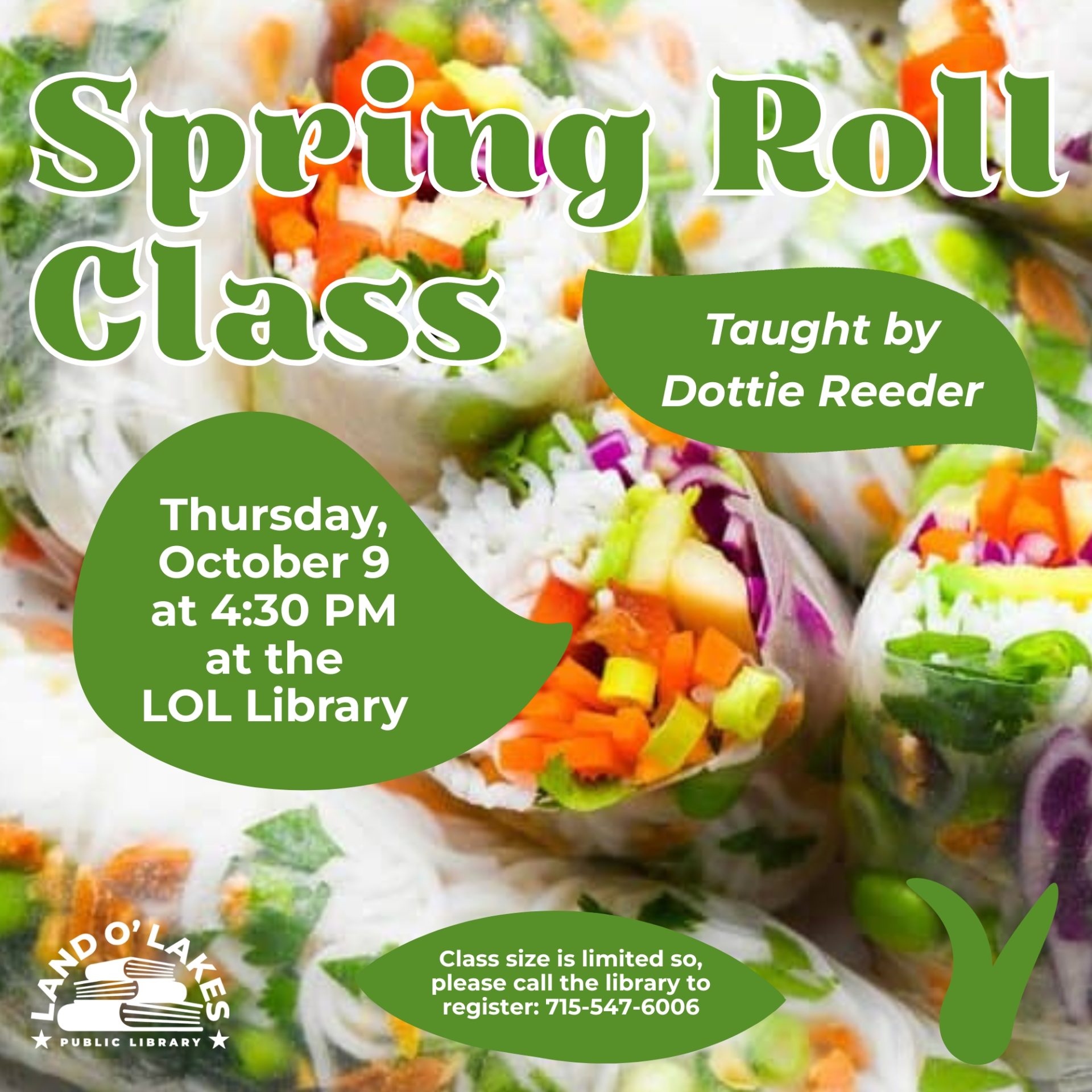 Spring Roll Class